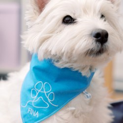 bernette-59-12